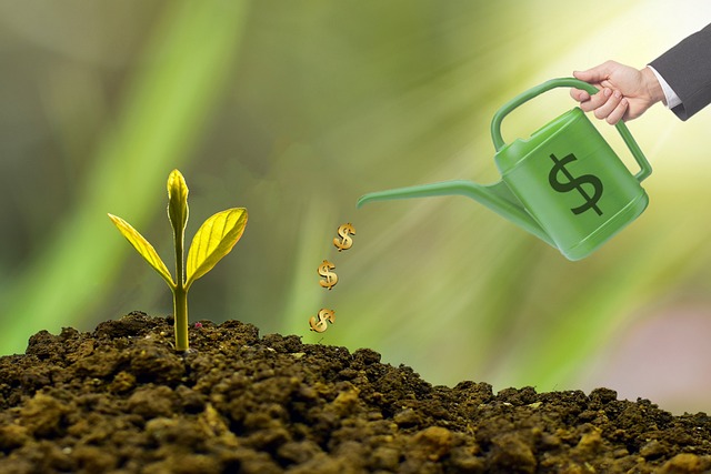a hand holding a watering can pouring money from a small plant