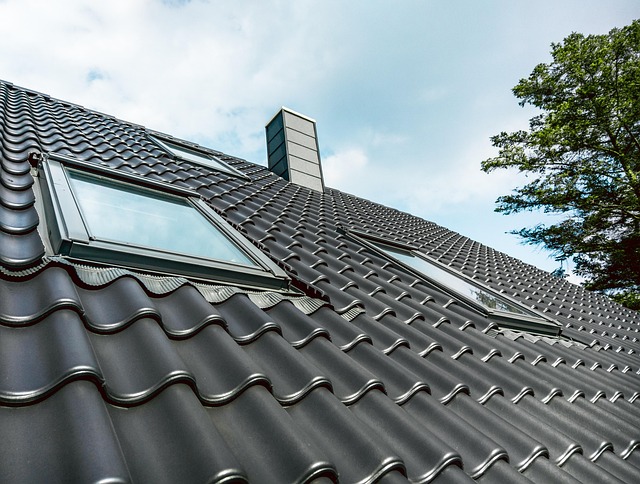 Modern roof with skylights | Role of Asset Allocation