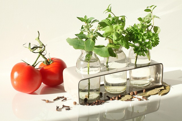 Top 3 Financial Habits: Symbolized by Tomato Plants in Three Bottles
