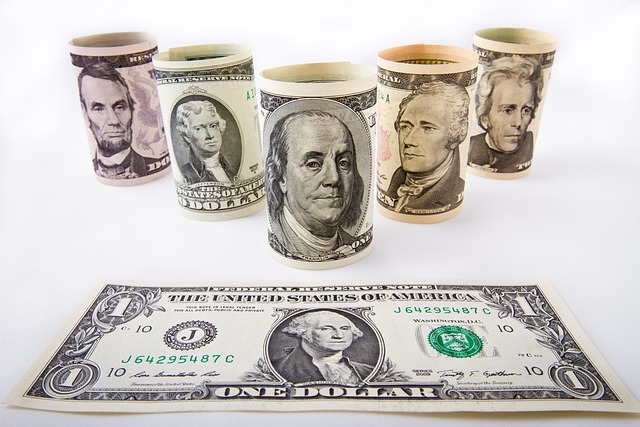 *Finance a Business in 2025*—Rolled-up US dollar bills in various denominations standing behind a flat one-dollar bill, symbolizing strategic funding, investment opportunities, and financial planning for business growth.