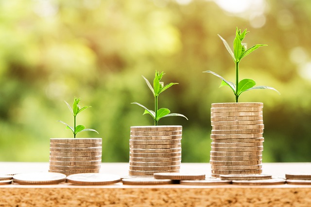 Growing wealth: Coins stacked with thriving green plants, symbolizing financial growth, smart investments, and personal finance slogans for financial success.