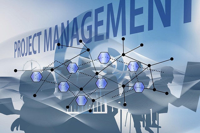 Best App to Manage Money—A digital project management interface with interconnected hexagonal nodes, human silhouettes, and bold “PROJECT MANAGEMENT” text in the background, symbolizing organized financial tracking, collaboration, and efficient money management.